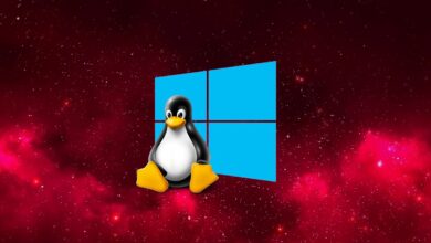 WSL Containers
