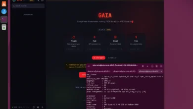 AMD GAIA 0.25