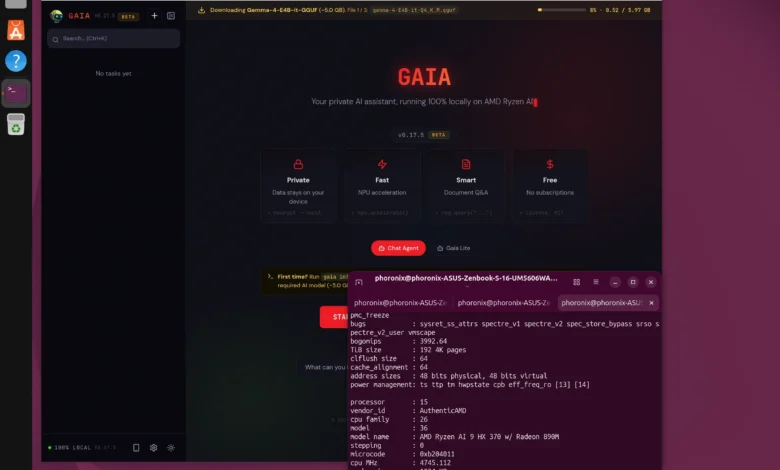 AMD GAIA 0.25