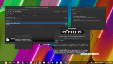 Audacious 4.6.2