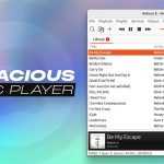 BleachBit 6.0.6