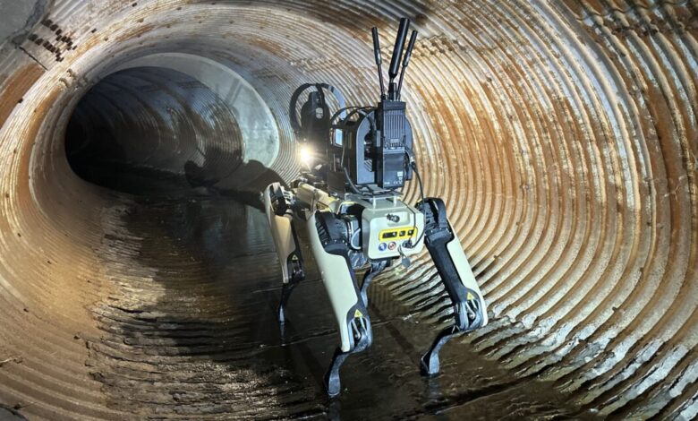 Boston Dynamics
