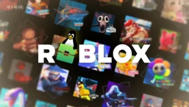 اجرای Roblox روی لینوکس