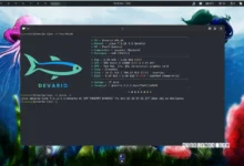 Devario OS