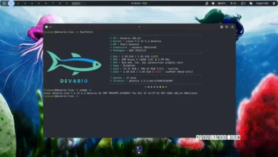 Devario OS