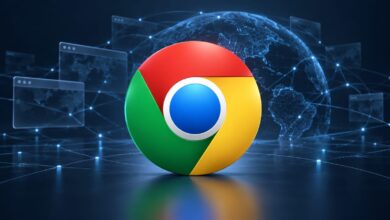 تشخیص کلاهبرداری گوگل کروم