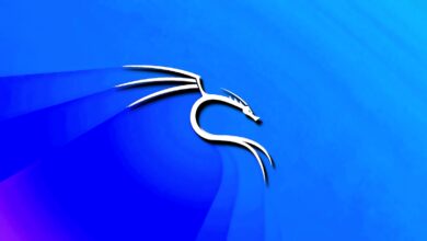 کالی لینوکس 2026.3