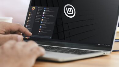 لینوکس مینت ۲۷