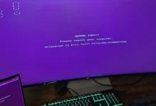 باگ Boot لینوکس