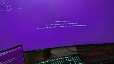 باگ Boot لینوکس