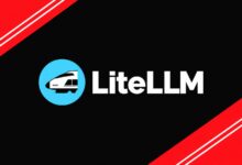 هک LiteLLM