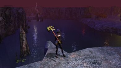 Neverwinter Nights