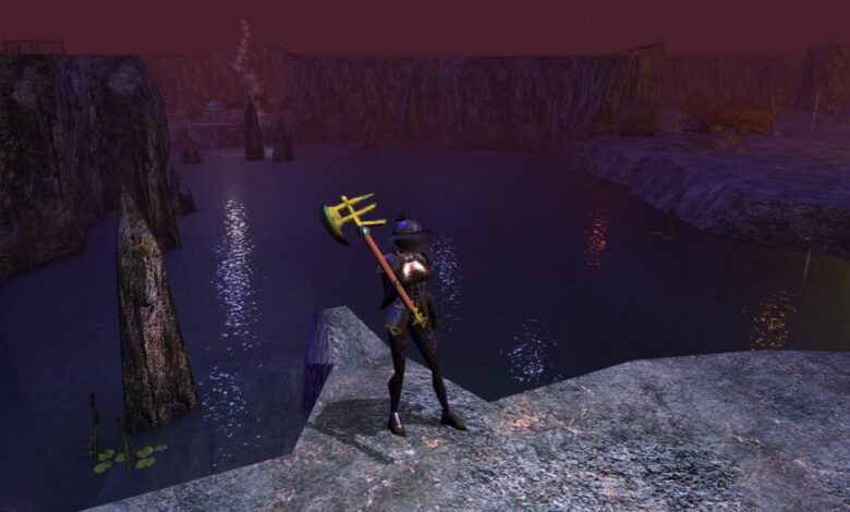 Neverwinter Nights