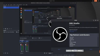 OBS Studio 33