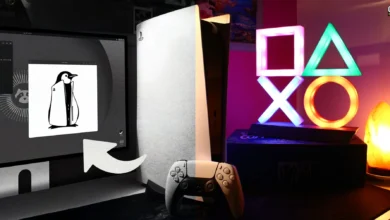 هک لینوکس PS5