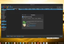 qBittorrent 5.3