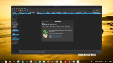 qBittorrent 5.3