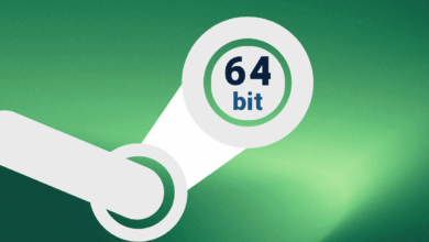 استیم لینوکس