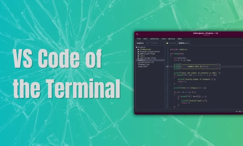 Terminal text editor